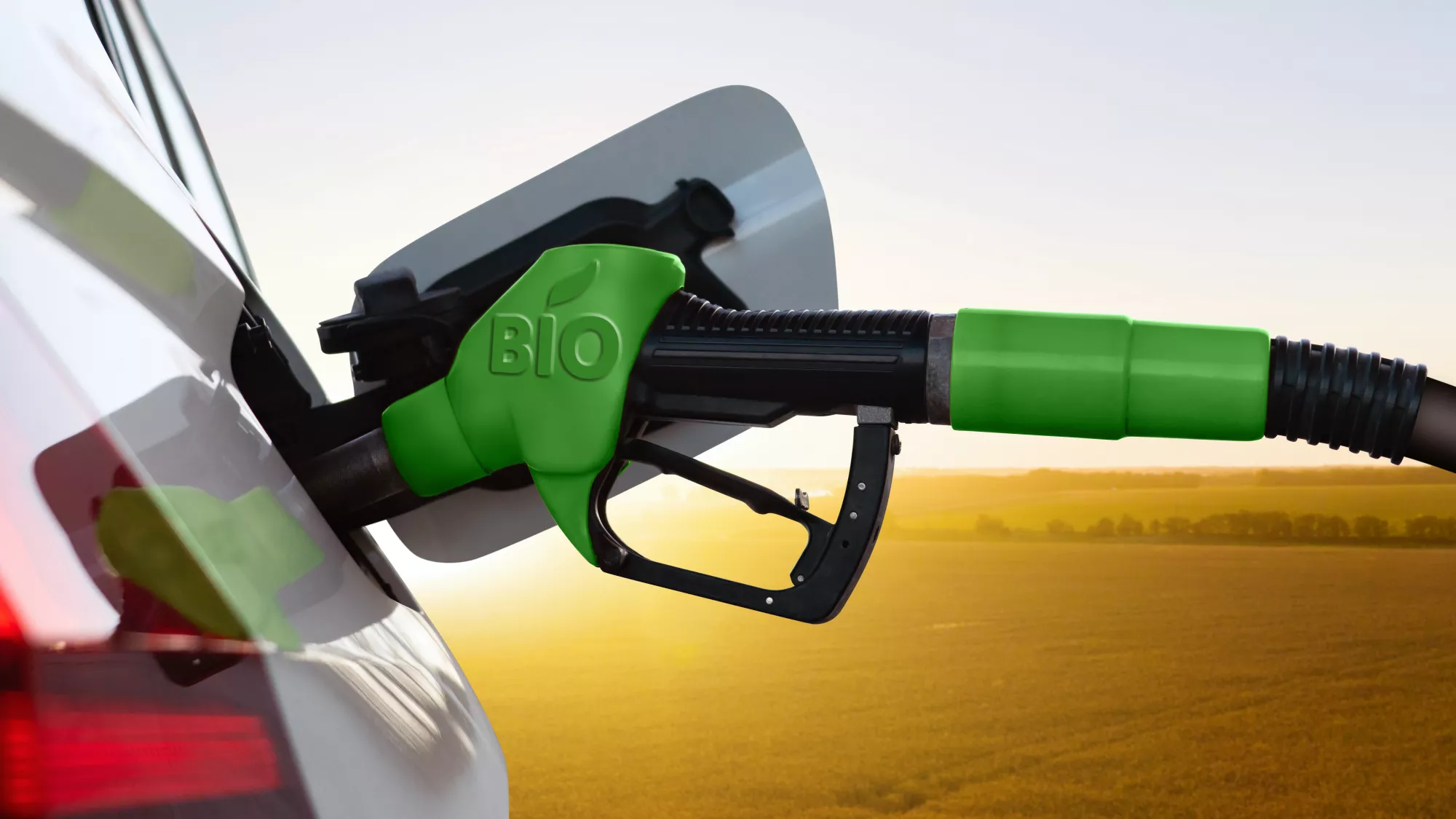 Biocarburant alimentant la mobilité automobile verte, sur fond de champ de biocarburants issu de la culture durable du blé.