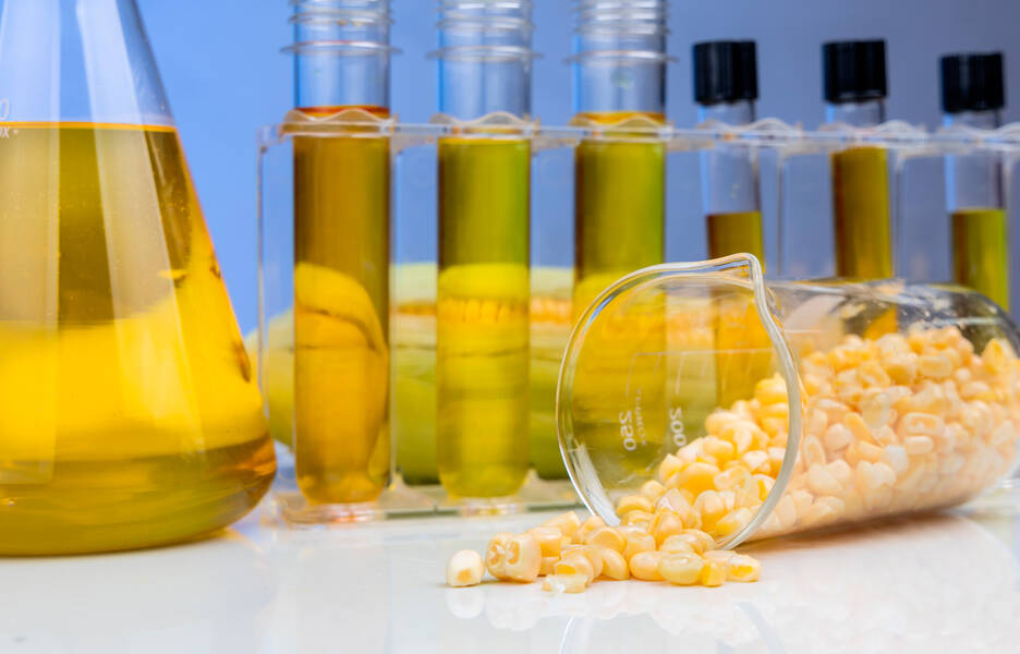 De tous les végétaux, on peut extraire de l'éthanol.