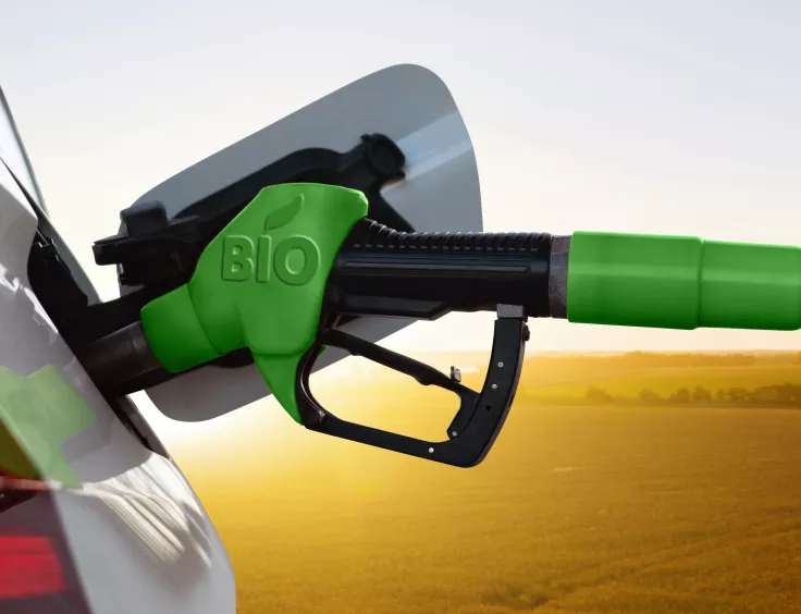 Biocarburant alimentant la mobilité automobile verte, sur fond de champ de biocarburants issu de la culture durable du blé. 