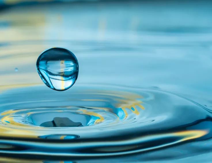 L'énergie osmotique est une énergie renouvelable, hydraulique et marine. 